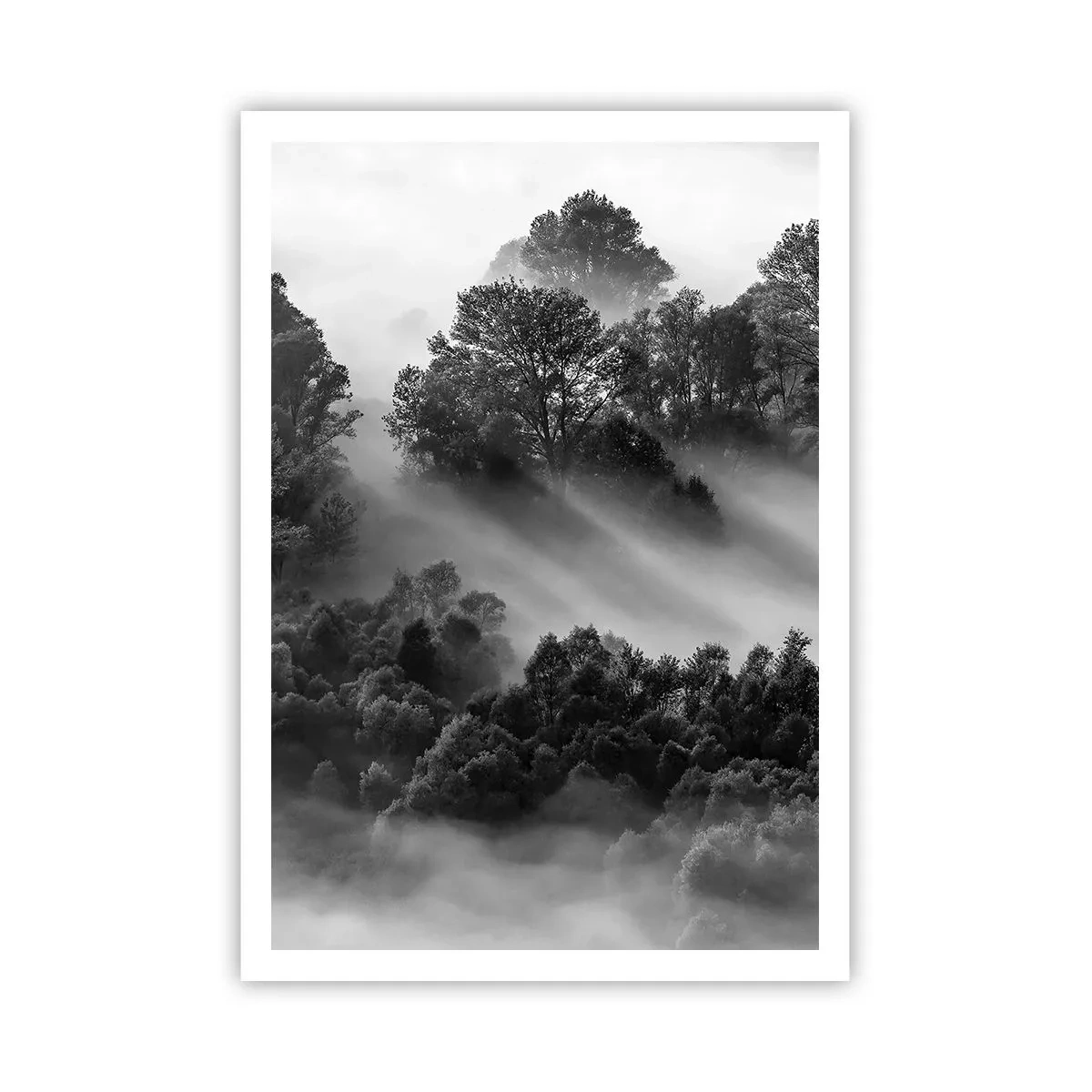 Poster - Opstaand uit de slaap - 70x100 cm