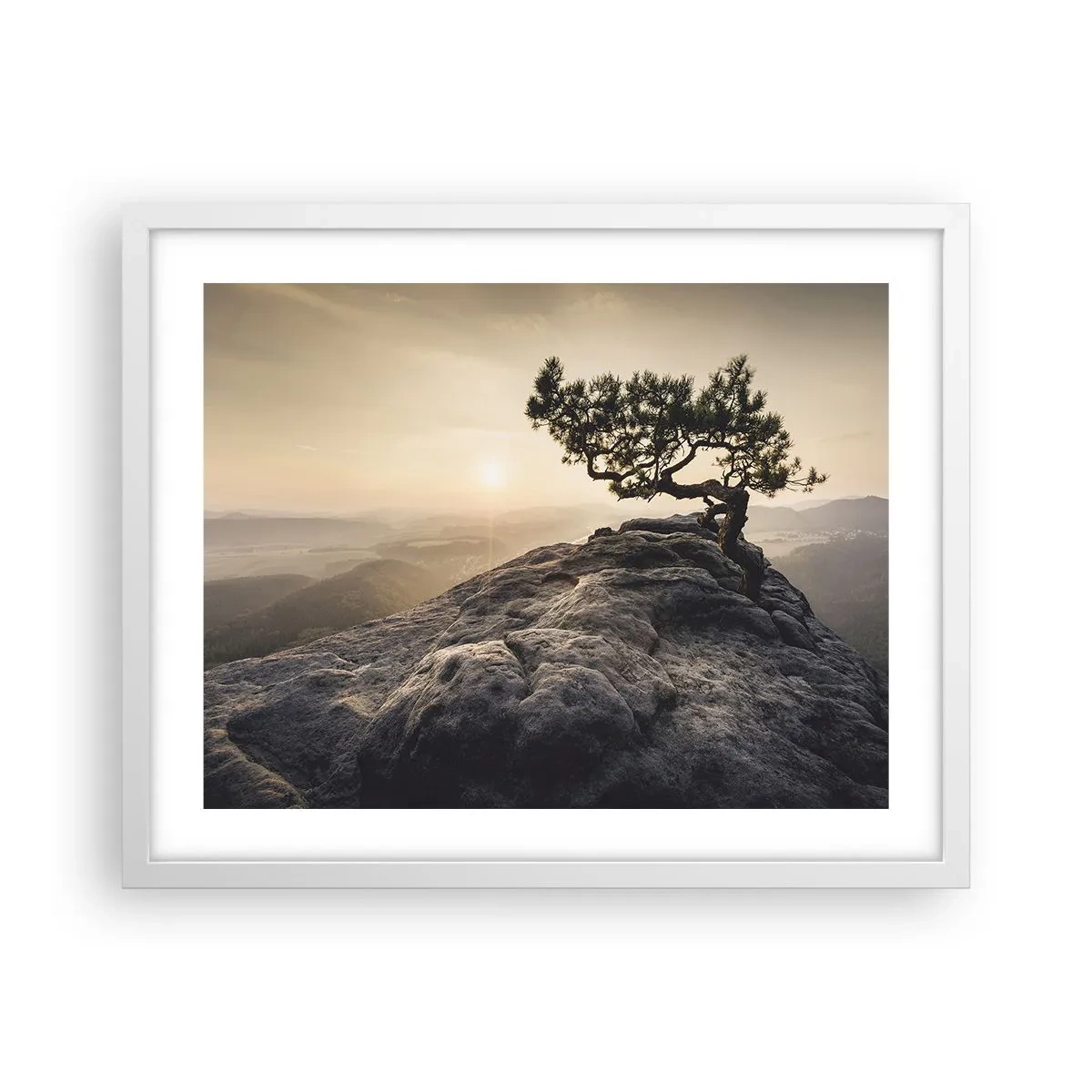 Poster in een witte lijst - Het leven wint altijd - 50x40 cm