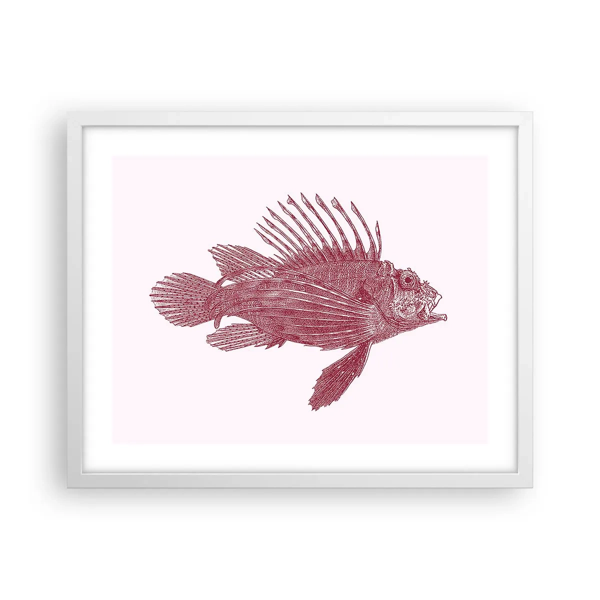 Poster in een witte lijst - Inwoner van exotische wateren - 50x40 cm