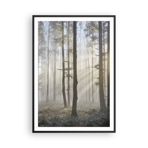 Poster in een zwarte lijst - De mist werd ook wakker - 70x100 cm
