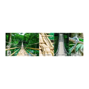 Fotobehang Staaltje Standard Eco - Apenbrug over de green - Landschap, Oerwoud, Filippijnen - 100x30 cm
