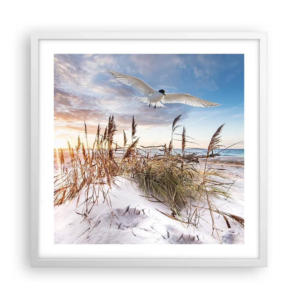 Poster in een witte lijst - Wind uit zee - 50x50 cm