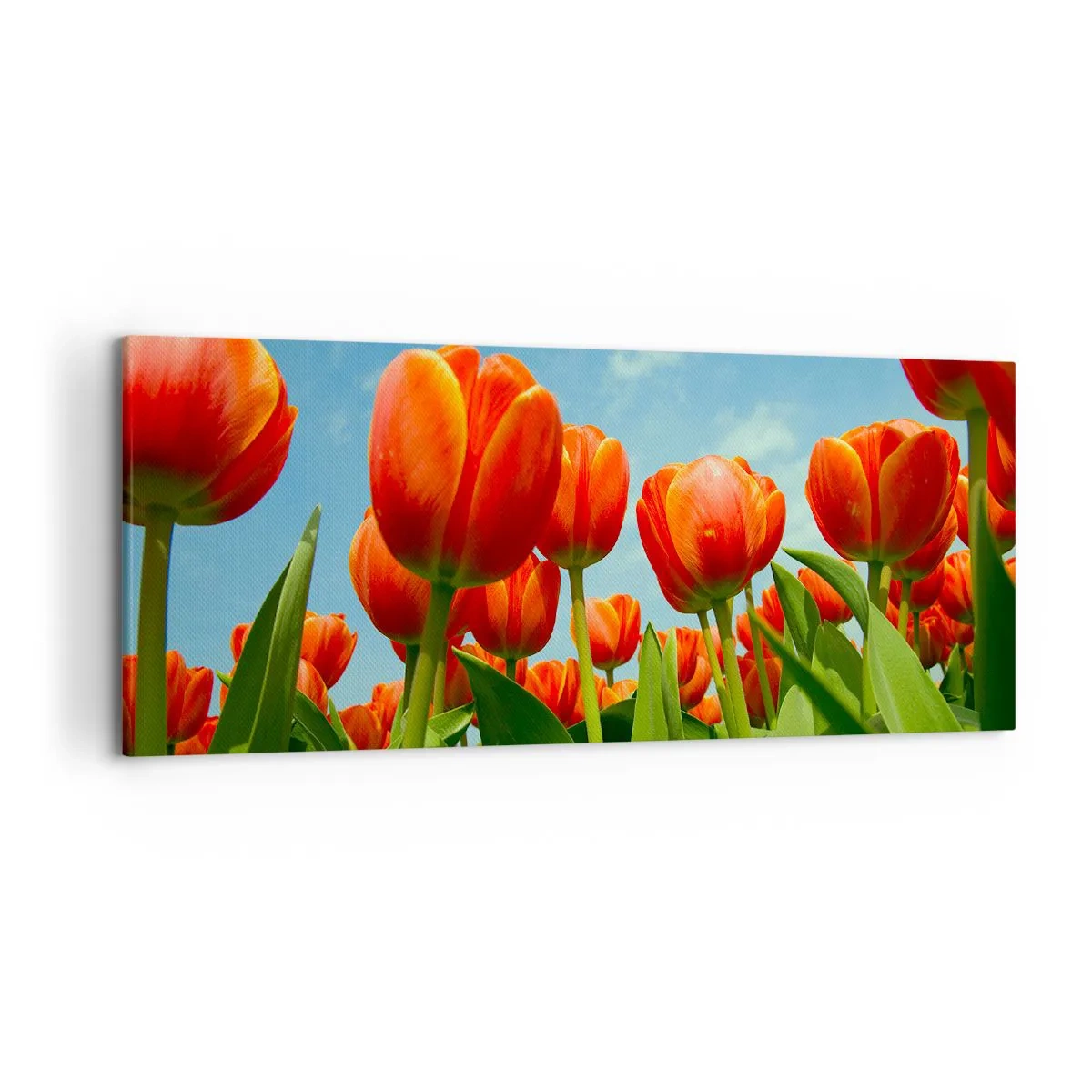 Schilderen op canvas - Afgezien van de blauwe lucht hebben ze niets nodig in hun leven - 120x50 cm