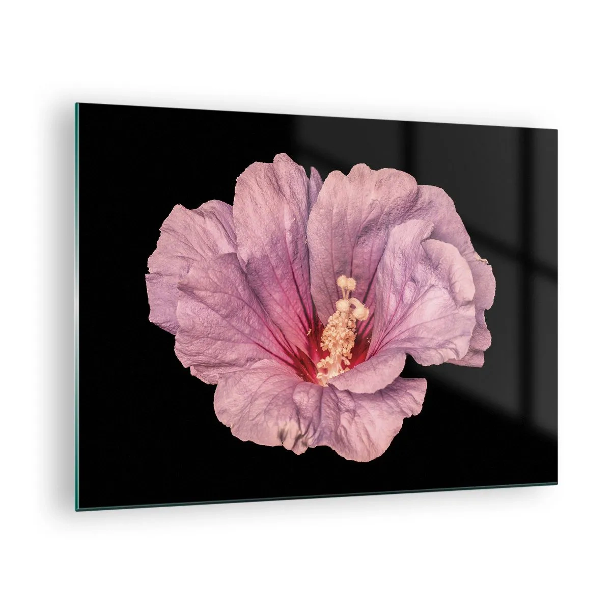 Schilderen op glas - Close-up van een roze hibiscusbloem tegen een zwarte achtergrond - 70x50cm - Recht in het hart - Moderne wanddecoratie voor woonkamer en slaapkamer ARTTOR