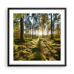 Poster in een zwarte lijst - … Achter de zeven bossen - 50x50 cm