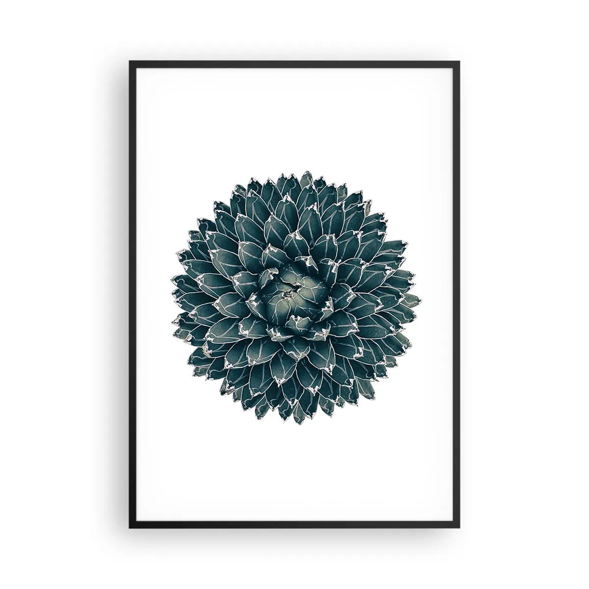 Poster in een zwarte lijst - De ster van de woestijn - 70x100 cm