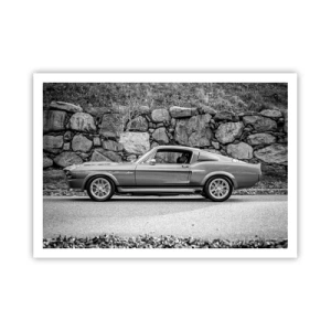 Poster - De legende van de jaren 60 - 100x70 cm
