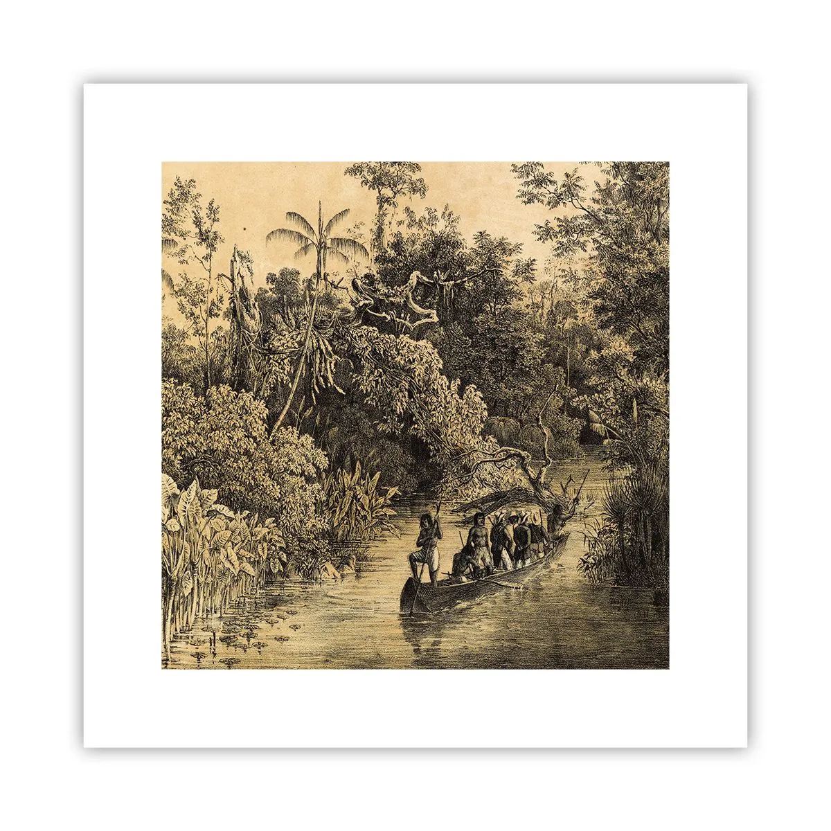 Poster - Expeditie naar de bron - 30x30 cm