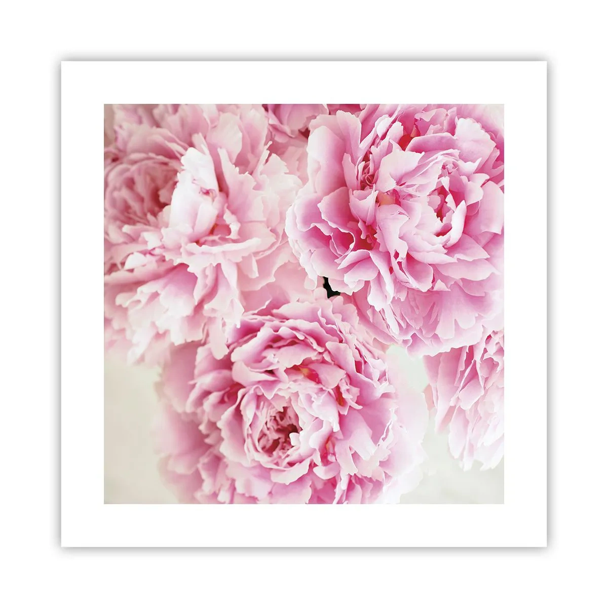 Poster - In roze glamour - 40x40 cm