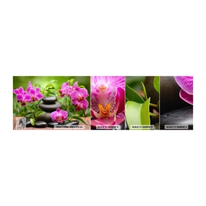 Fotobehang Staaltje Standard Eco - De piramide van vrede - Bloemen, Orchidee, Orchidee - 100x30 cm