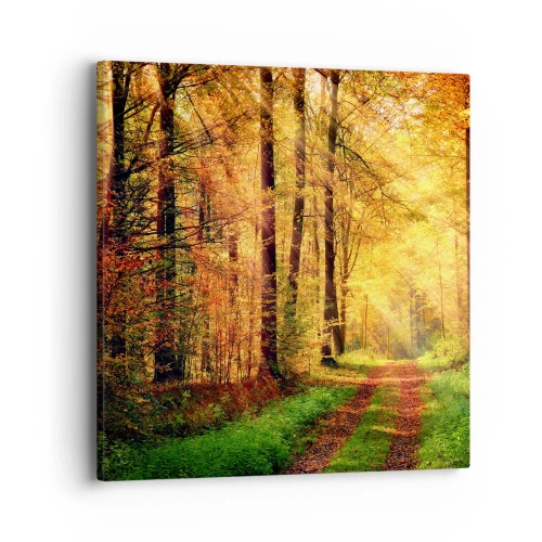 Schilderen op canvas - Bos-gouden stilte - 40x40 cm