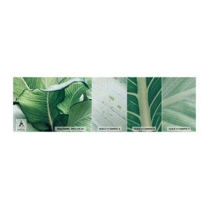Fotobehang Monster Premium Canvas - Intens groen leven - Bladeren, Exotisch, Botanisch - 100x30 cm
