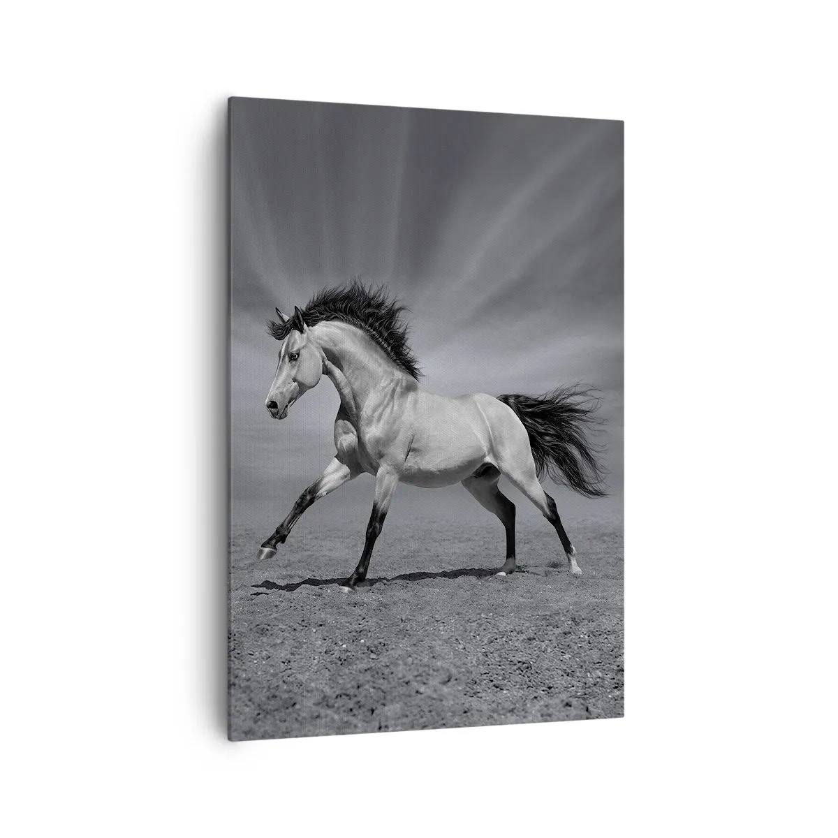 Schilderen op canvas - Geboren om te genieten - 70x100 cm