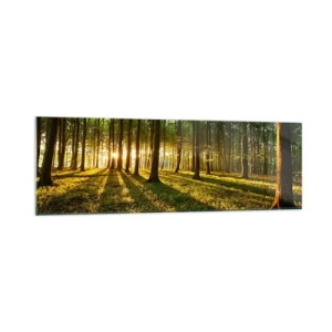 Schilderen op glas - Foto van de hele lente - 160x50 cm