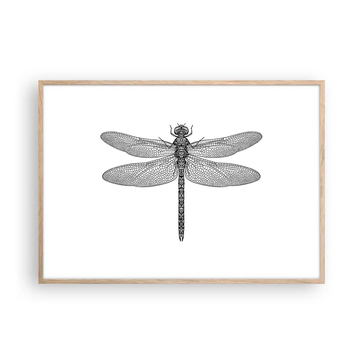 Een poster in een licht eiken lijst - Precisie van de natuur - 100x70 cm