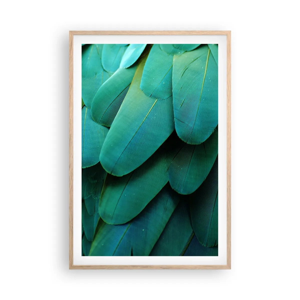 Een poster in een licht eiken lijst - Papegaaiachtige precisie - 61x91 cm