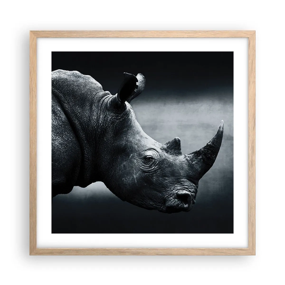 Een poster in een licht eiken lijst - Rechts profiel - 50x50 cm