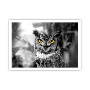 Poster - Niets zal zich verbergen - 100x70 cm