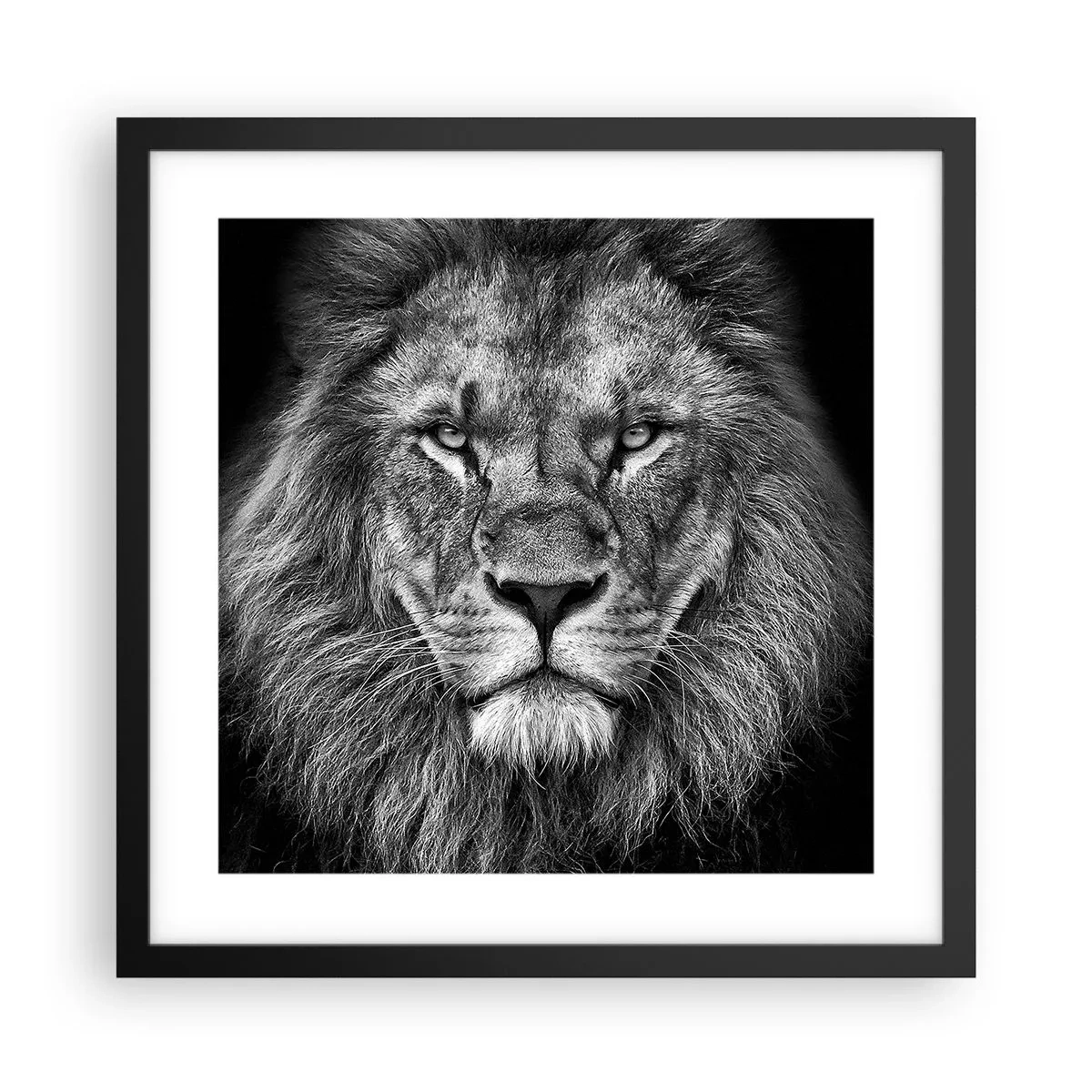 Poster in een zwarte lijst - In een kroningskleed - 40x40 cm