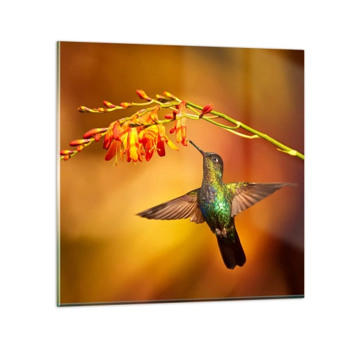 Schilderen op glas - Een boodschapper van licht volgens de Maya - 30x30 cm