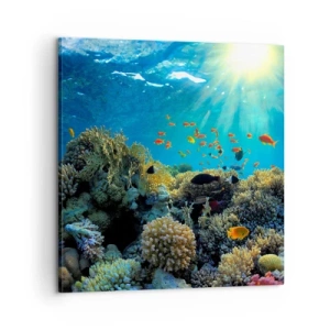 Schilderen op canvas - Onderwater schatten - 60x60 cm