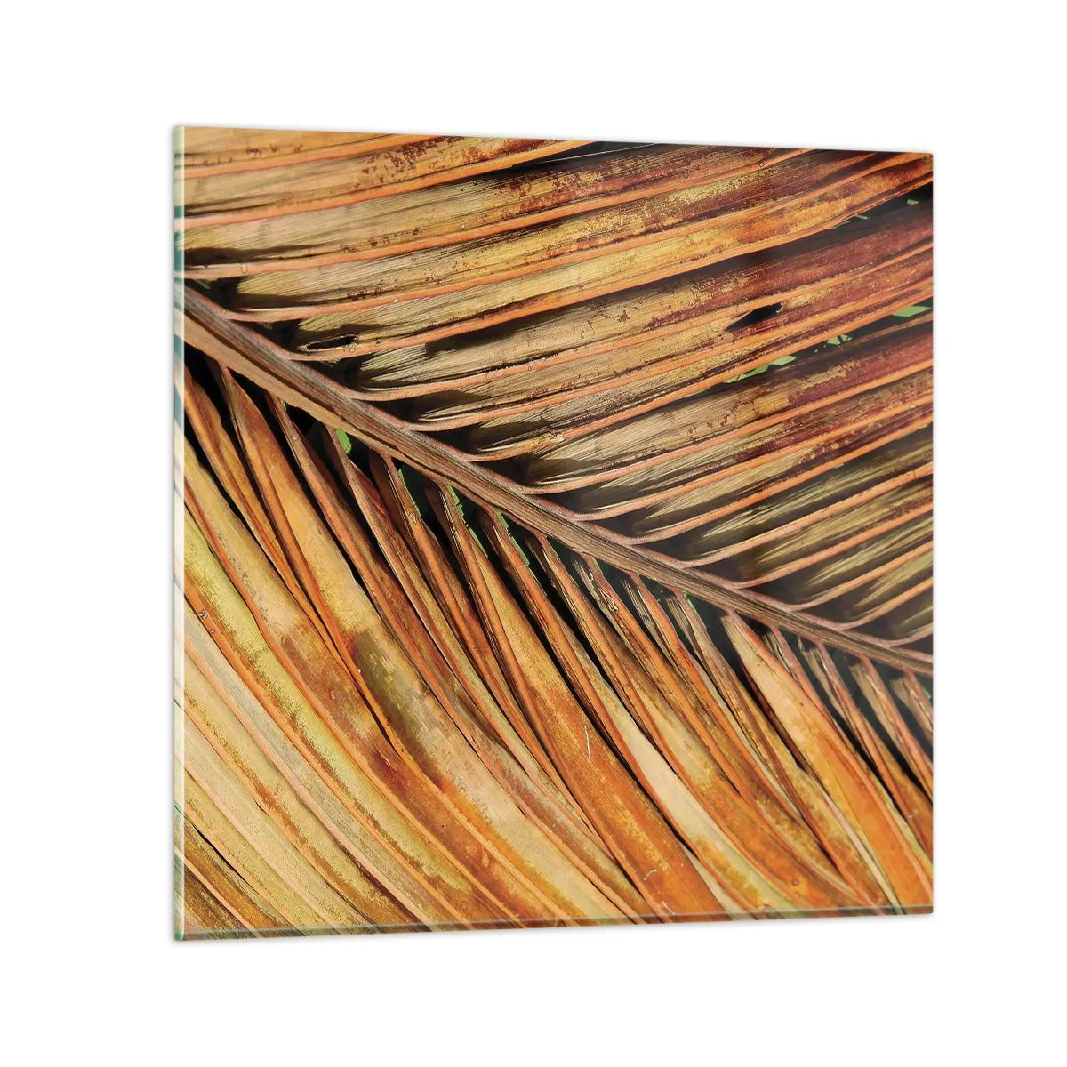 Schilderen op glas - Kokos goud - 40x40 cm