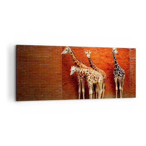 Schilderen op canvas - Zie je acacia? - 120x50 cm