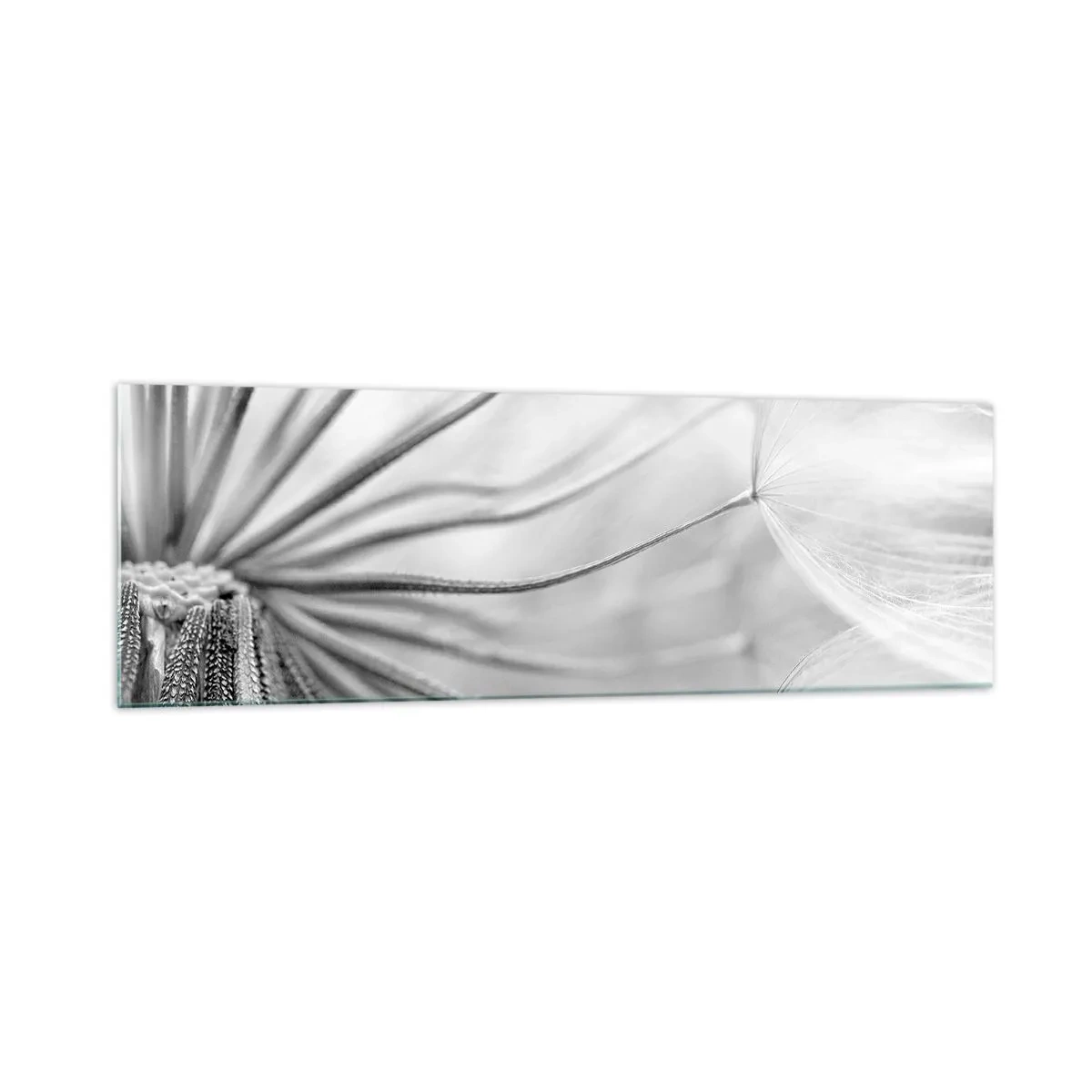 Schilderen op glas - Paardebloemen, vliegers - 160x50 cm