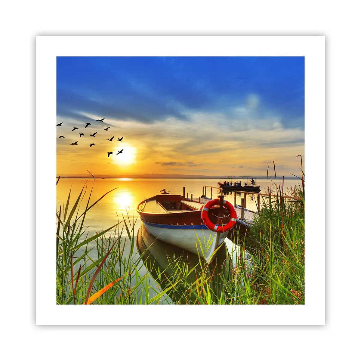 Poster - De aalscholvers vliegen al weg - 50x50 cm