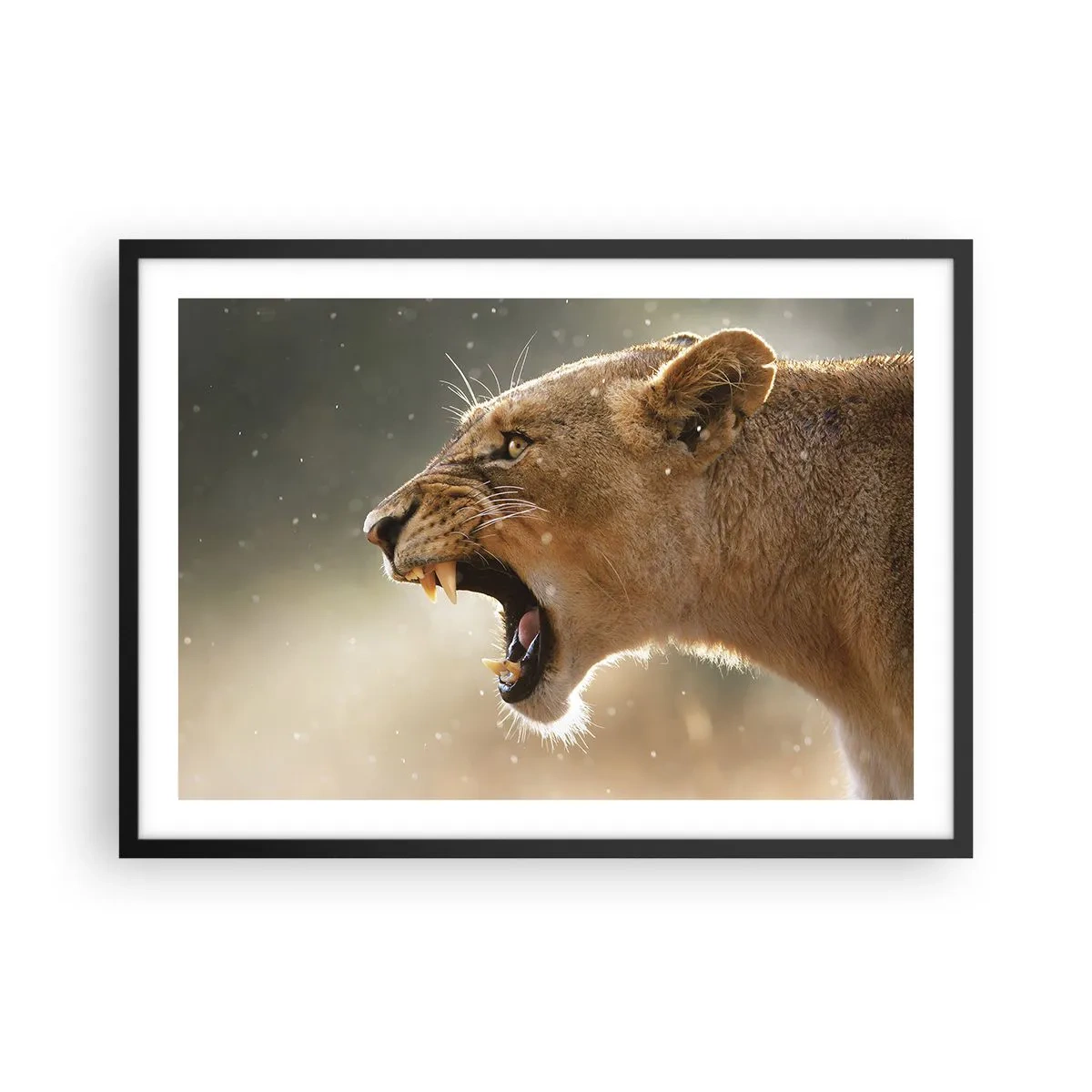 Poster in een zwarte lijst - Probeer niet te luisteren - 70x50 cm