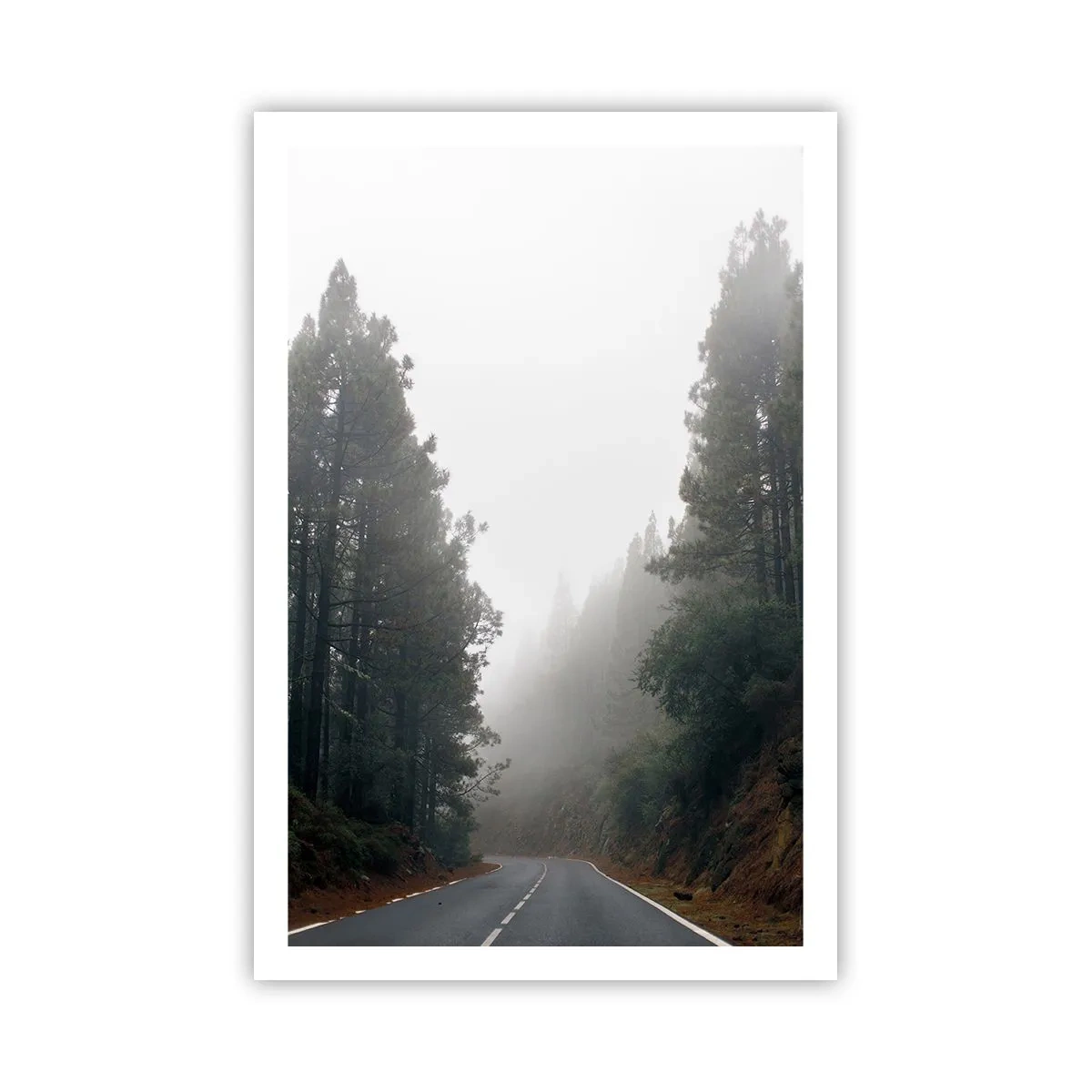 Poster - Een verhaal over een magisch bos - 61x91 cm