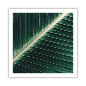 Poster - Het ritme van de natuur - 60x60 cm
