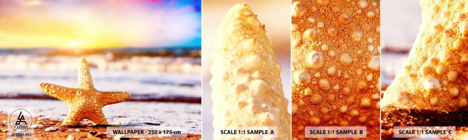 Fotobehang Monster Zelfklevend Deluxe Sticker - Een geschenk uit de zee - Zeester, Strand, Oceaan - 100x30 cm