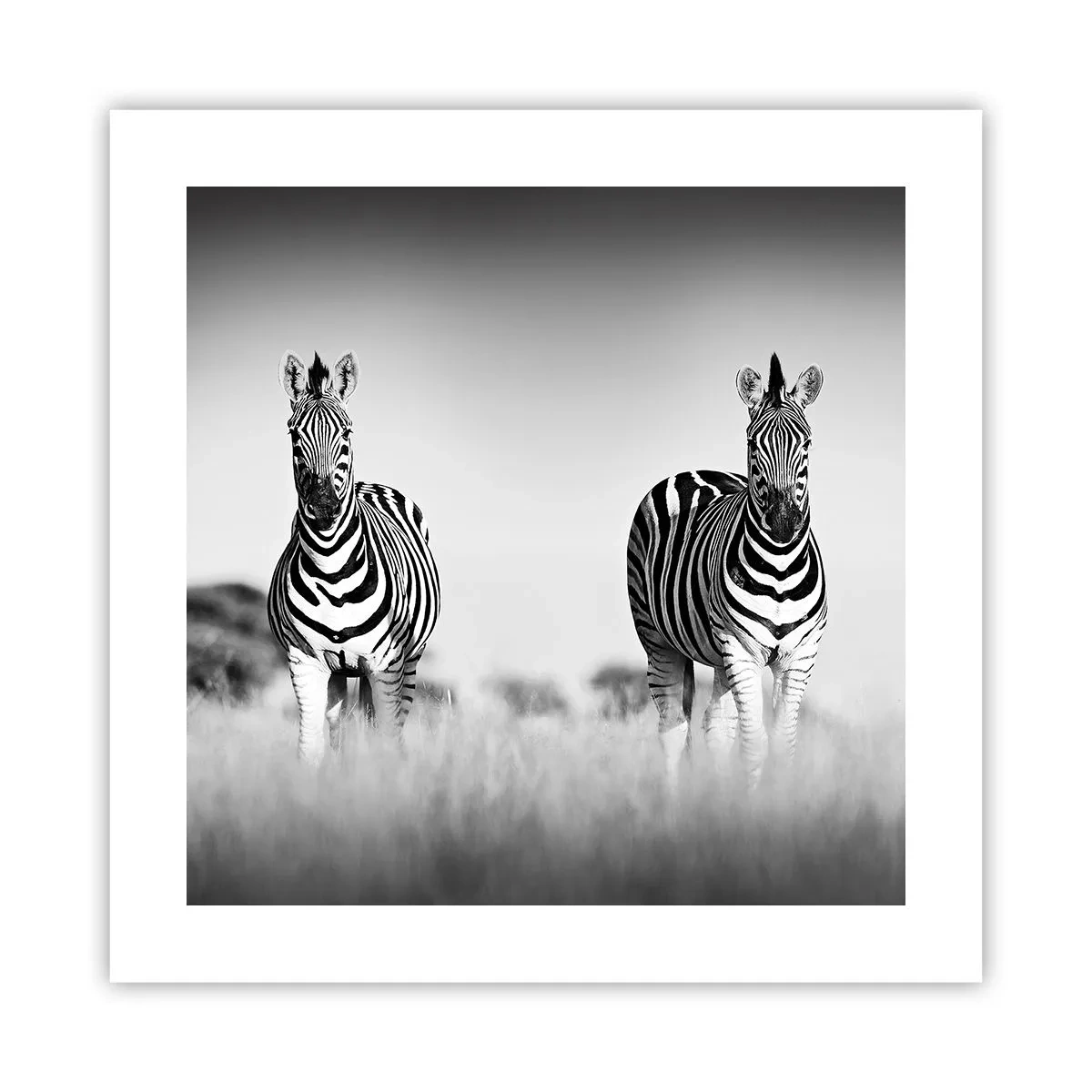 Poster - Toch is de wereld zwart-wit - 40x40 cm