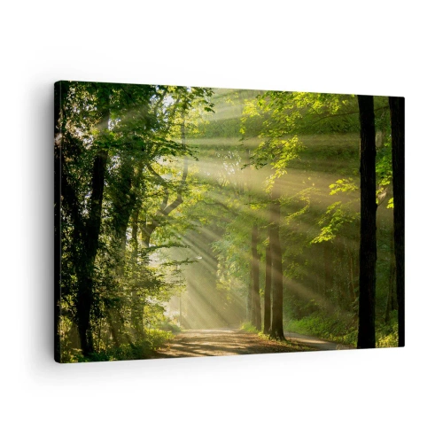 Schilderen op canvas - Bospad met zonnestralen die door de bomen schijnen - 70x50cm - Bosmoment - Moderne wanddecoratie voor woonkamer en slaapkamer ARTTOR