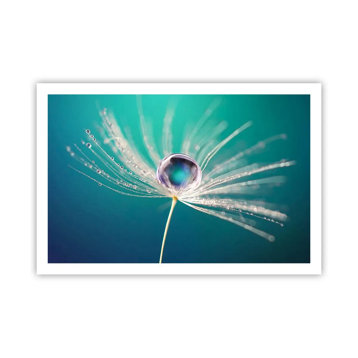 Poster - Mystiek moment - 91x61 cm