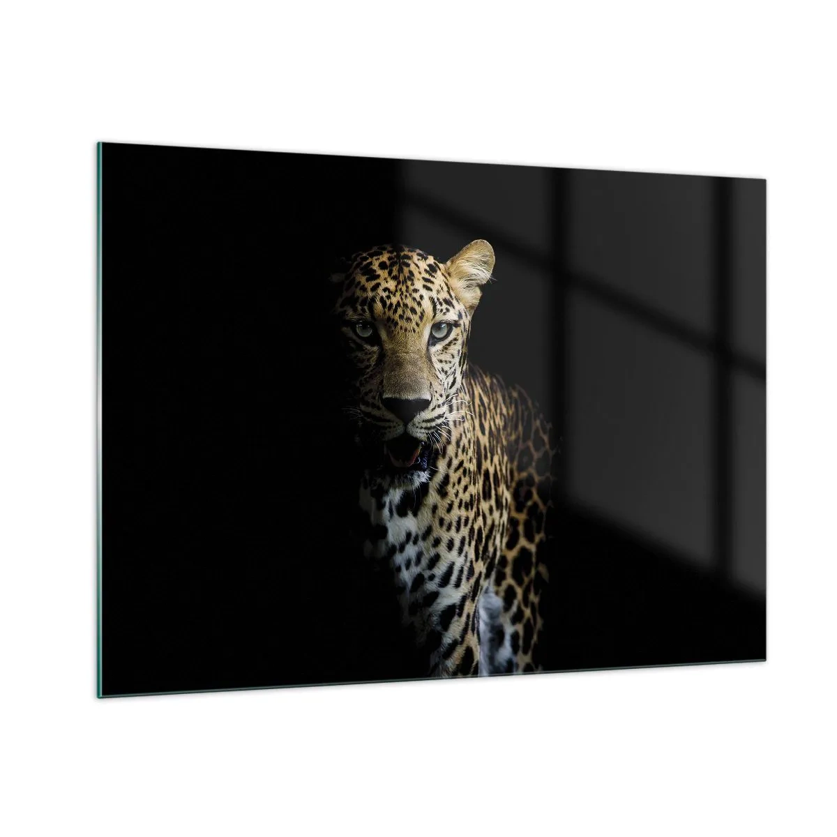 Schilderen op glas - Donkere schoonheid - 100x70 cm