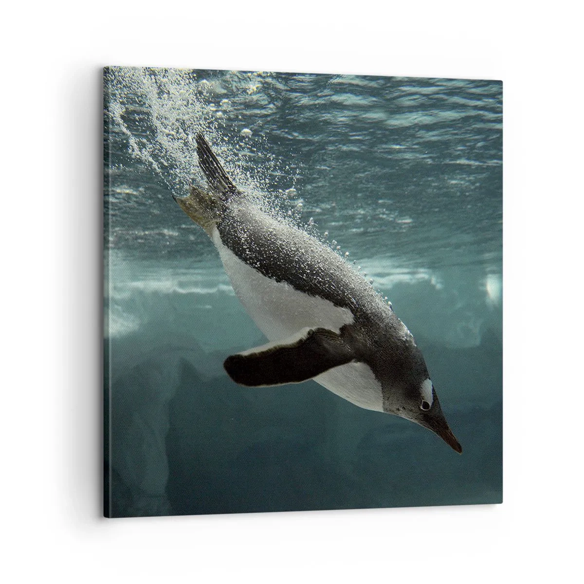 Schilderen op canvas - Welkom in mijn wereld - 60x60 cm