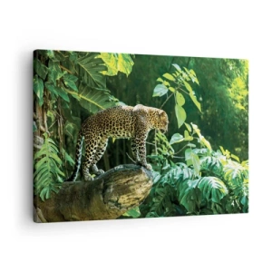 Schilderen op canvas - Een luipaard staat op een rots, omringd door tropische vegetatie - 70x50cm - Op jacht? - Moderne wanddecoratie voor woonkamer en slaapkamer ARTTOR