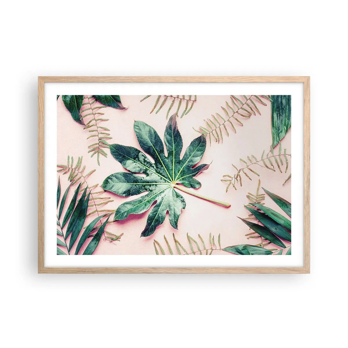 Een poster in een licht eiken lijst - Een studie van groen op een roze achtergrond - 70x50 cm