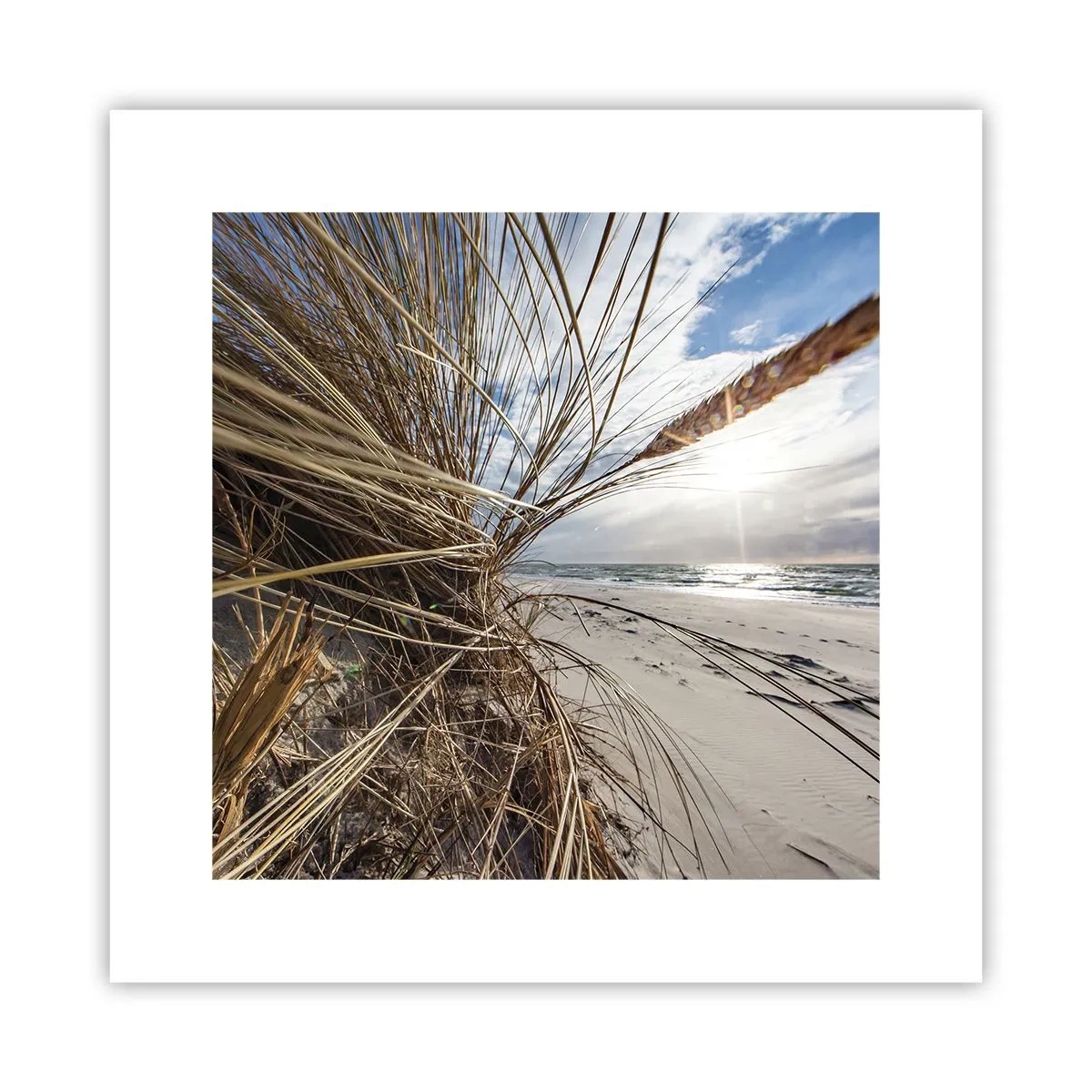 Poster - Een ontmoeting van de elementen - 30x30 cm