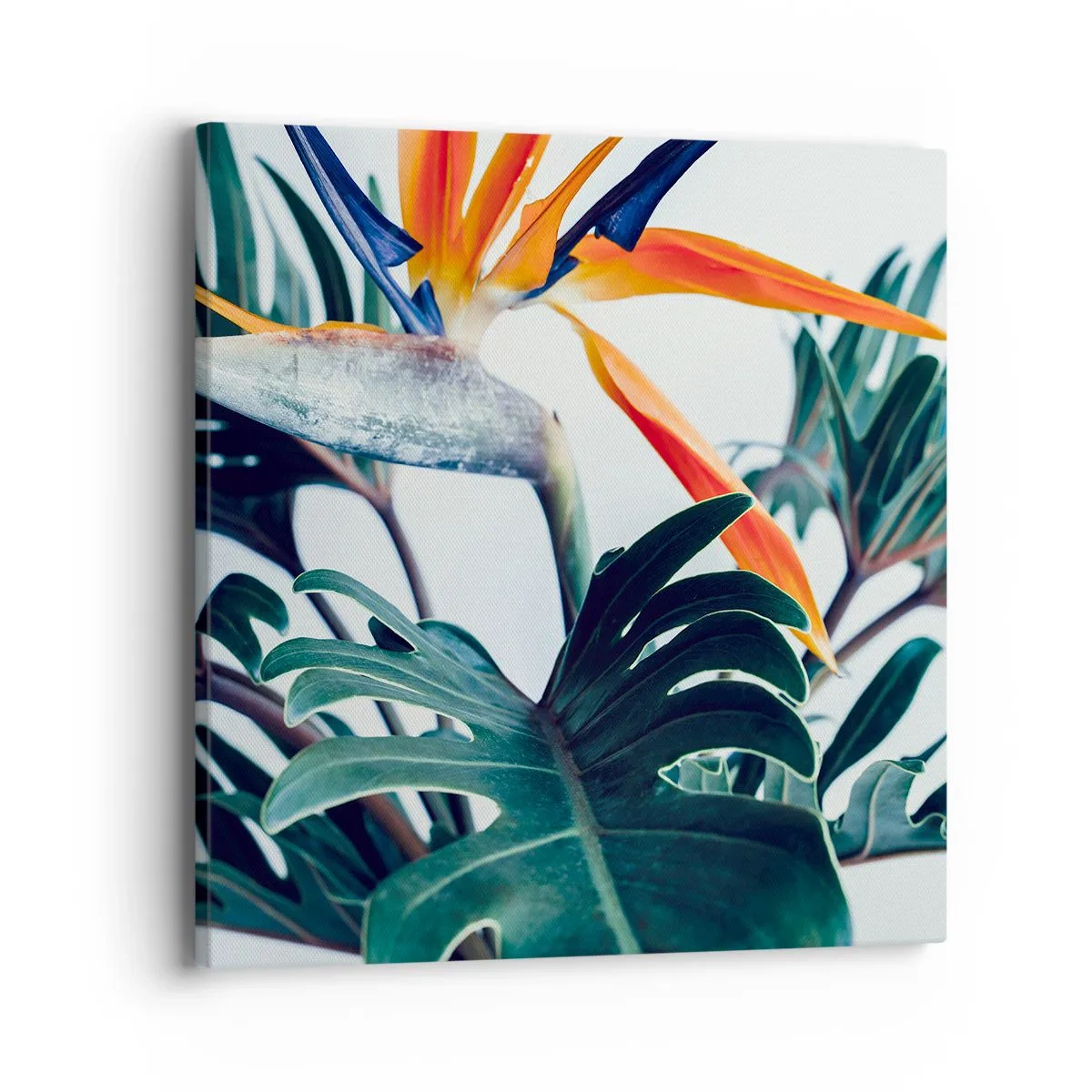 Schilderen op canvas - Vogelstruik - 40x40 cm