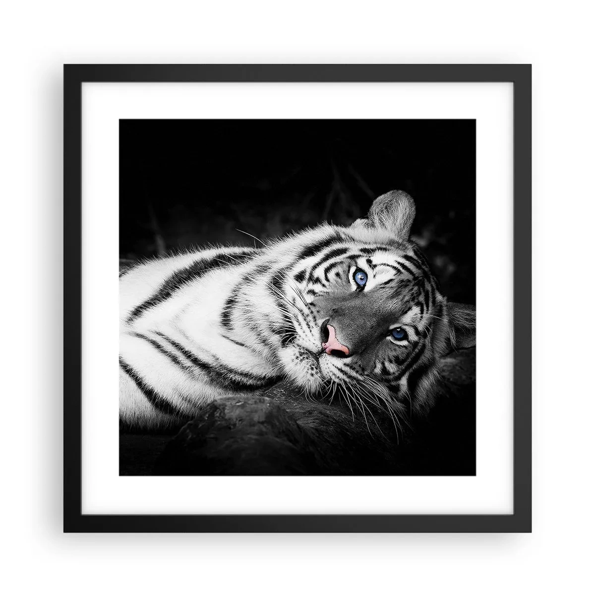 Poster in een zwarte lijst - Wildheid en vrede - 40x40 cm