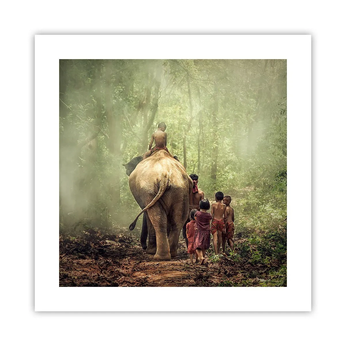 Poster - Nieuw Jungle Boek - 40x40 cm