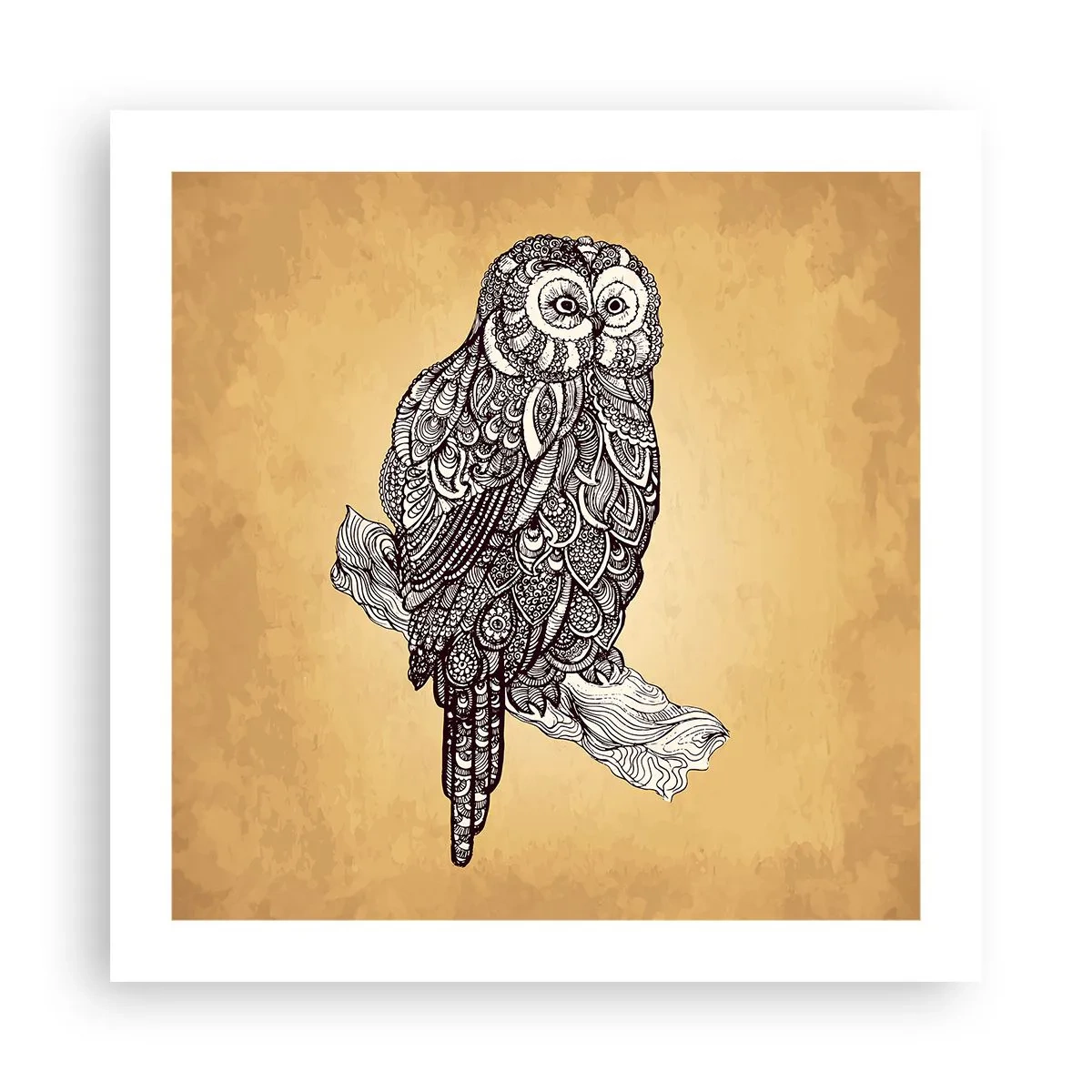 Poster - Ingewikkelde ornamenten van wijsheid - 50x50 cm