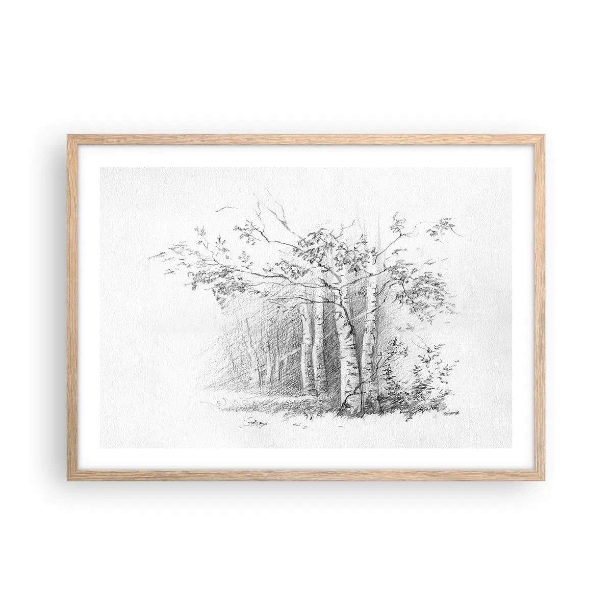 Een poster in een licht eiken lijst - Het licht van het berkenbos - 70x50 cm