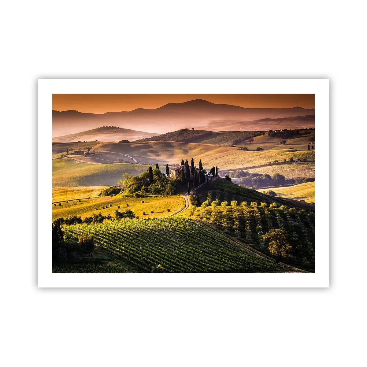 Poster - Arcadia - het Toscaanse landschap - 70x50 cm