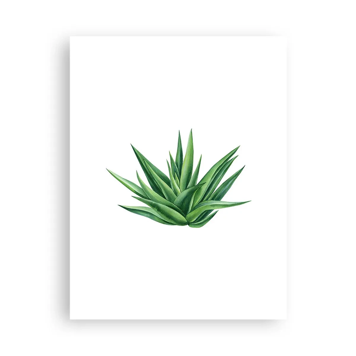 Poster - Groen – kracht – leven - 30x40 cm