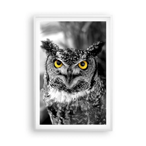 Poster in een witte lijst - Niets zal zich verbergen - 61x91 cm