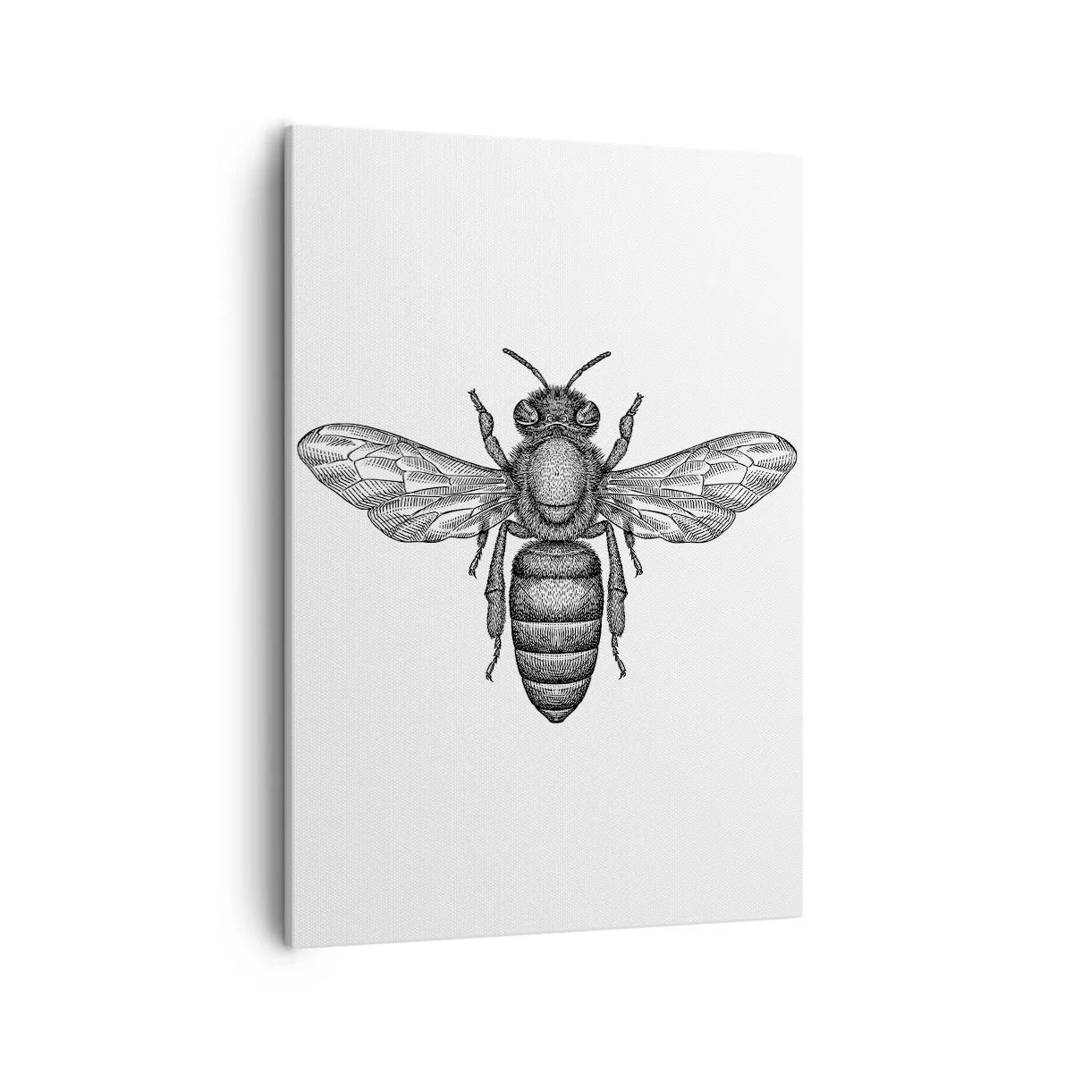 Schilderen op canvas - Insectenportret - 50x70 cm